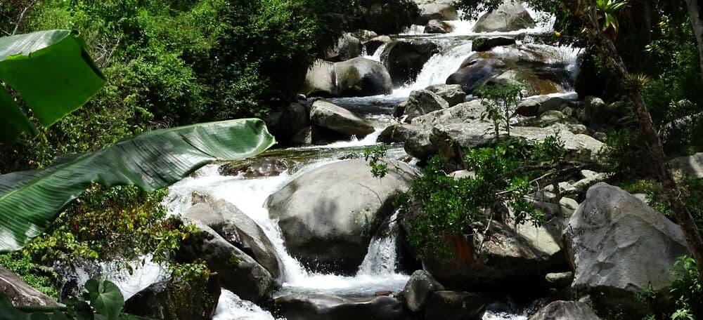 Building Bridges for the Sierra Nevada de Santa Marta