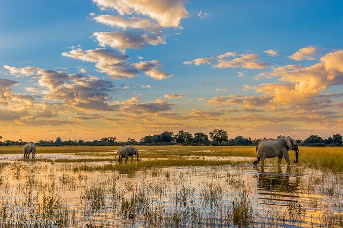 Save the Okavango River Basin from Oil Drilling