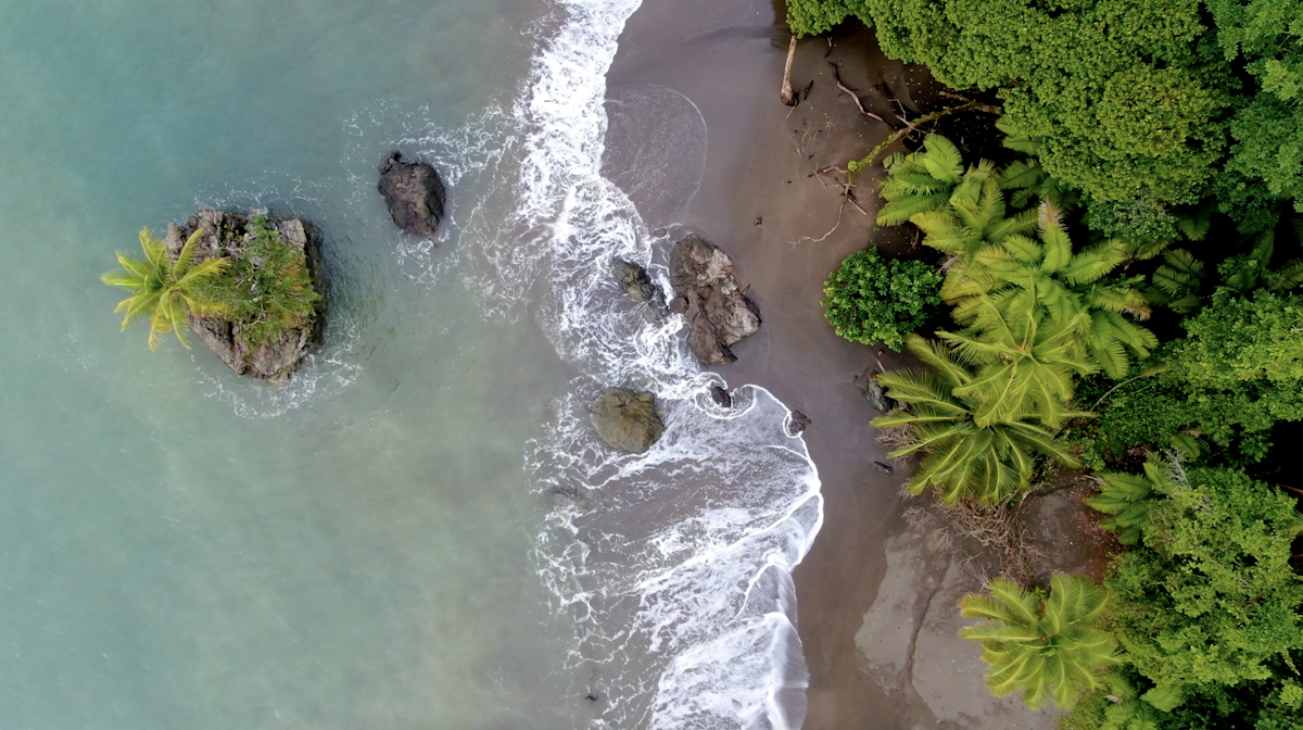 New marine protected area Isla Ají safeguards important coastal ecosystems